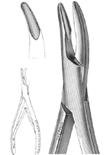 HARTMAN 5 3/4” Strong Curve 